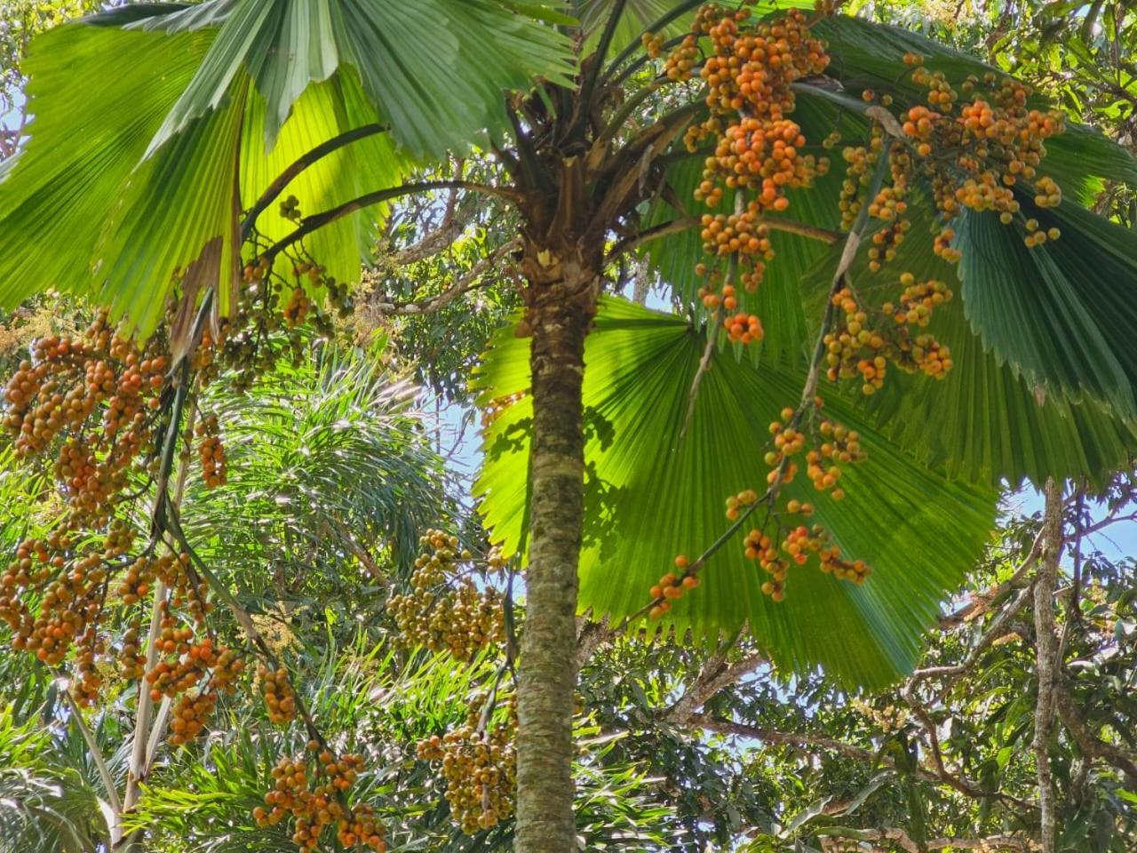 Gurugedara Heritage Homestay